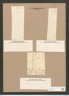 Pleurosigma var. kuetzingii Grun. (de-Toni-Nr.: Genus 13, Species 1076) Zeichnungen Sammlung Grunow Nr. 1968 (NHMW-BOT-W0369112)